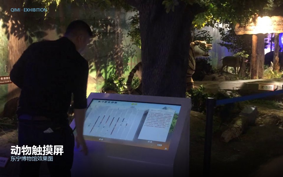 动物触摸屏