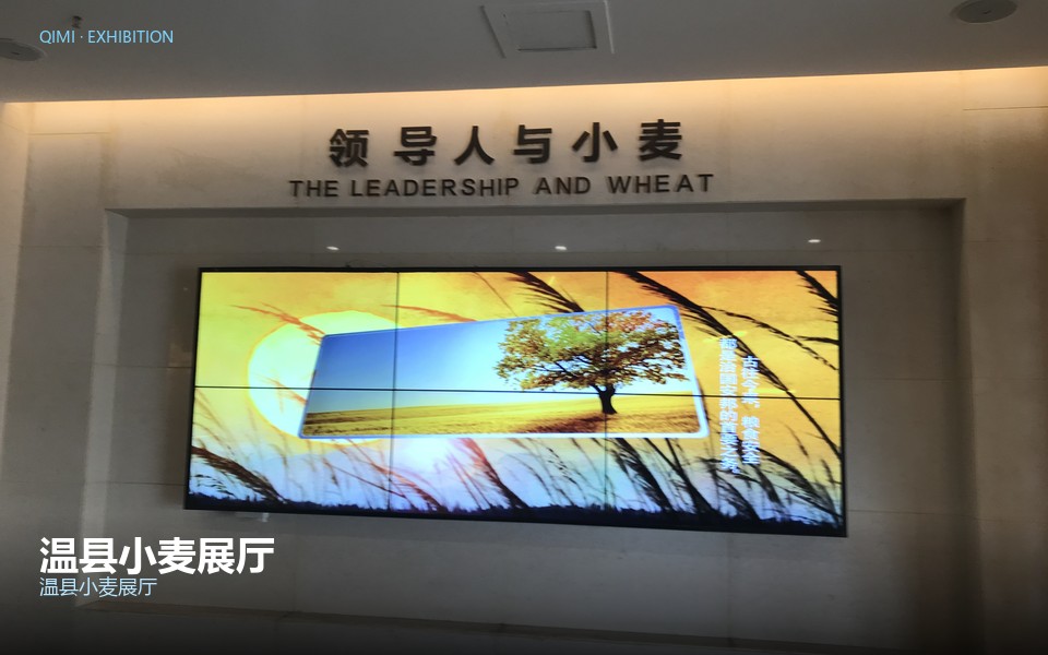 温县小麦展厅