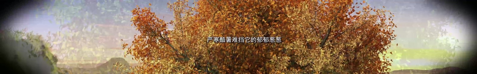 神木专题片视频画面